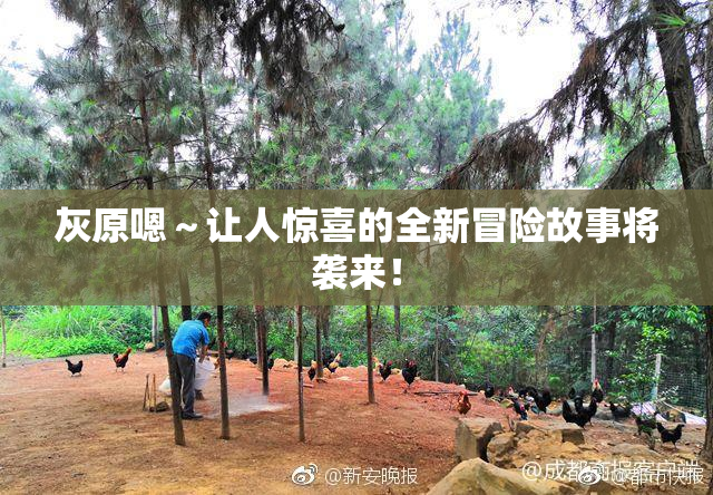 灰原嗯～让人惊喜的全新冒险故事将袭来！