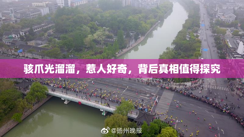 骇爪光溜溜，惹人好奇，背后真相值得探究