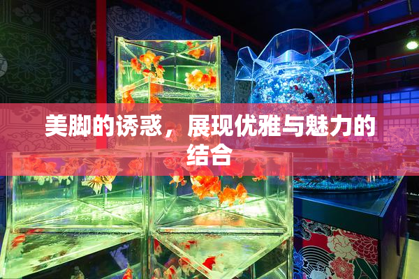 美脚的诱惑，展现优雅与魅力的结合