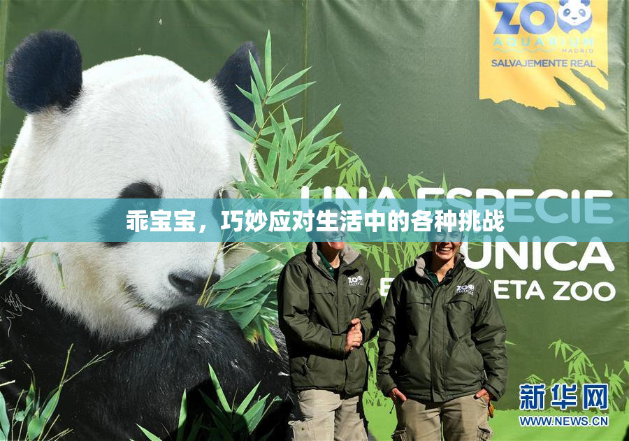 乖宝宝，巧妙应对生活中的各种挑战