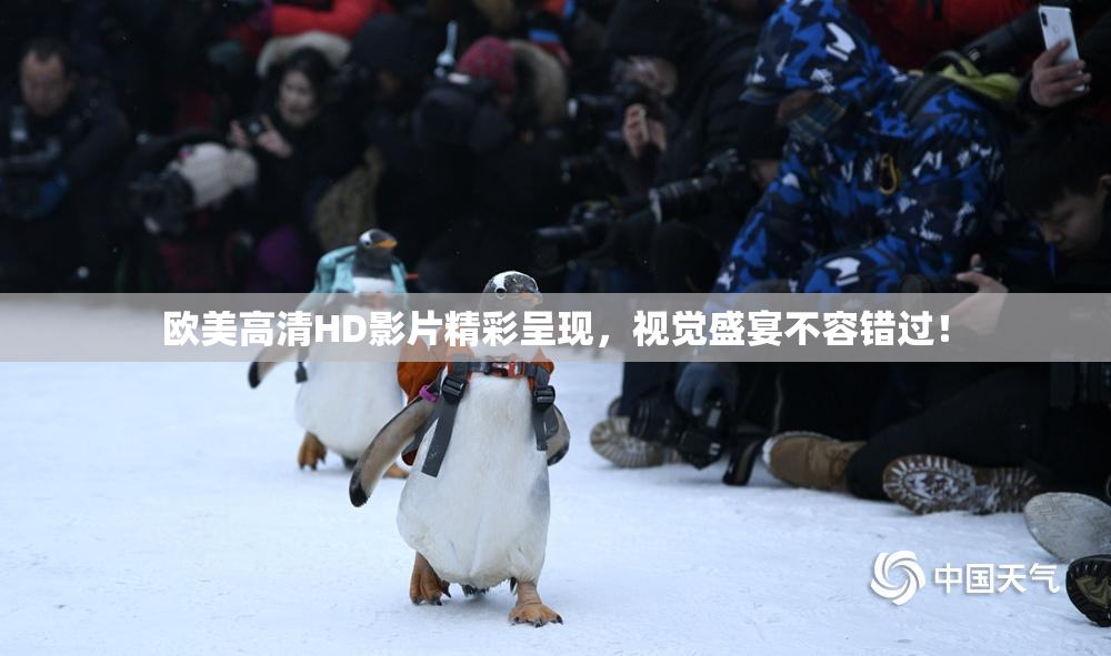 欧美高清HD影片精彩呈现，视觉盛宴不容错过！