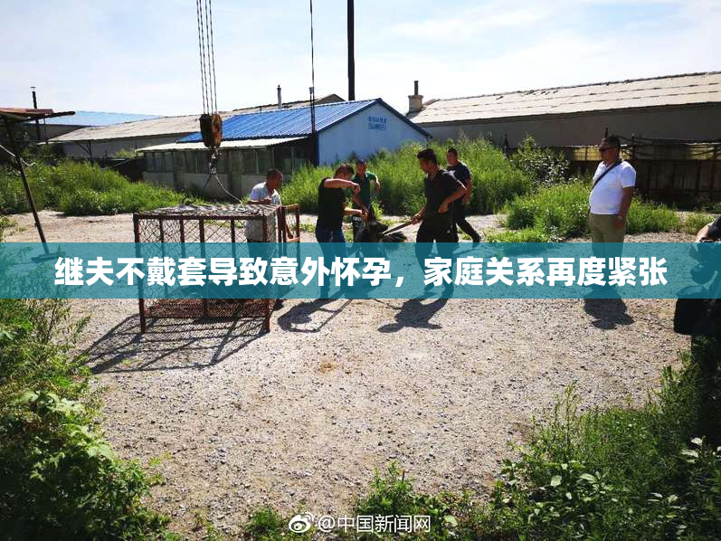 继夫不戴套导致意外怀孕，家庭关系再度紧张