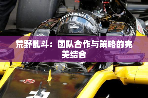 荒野乱斗：团队合作与策略的完美结合