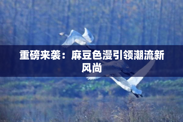 重磅来袭：麻豆色漫引领潮流新风尚