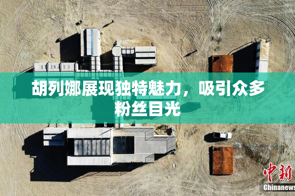 胡列娜展现独特魅力，吸引众多粉丝目光