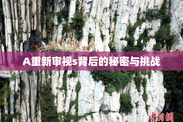 A重新审视s背后的秘密与挑战