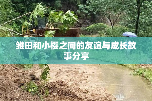 雏田和小樱之间的友谊与成长故事分享