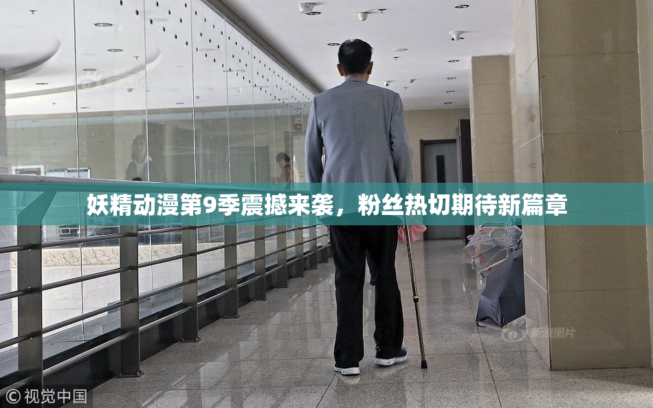 妖精动漫第9季震撼来袭，粉丝热切期待新篇章