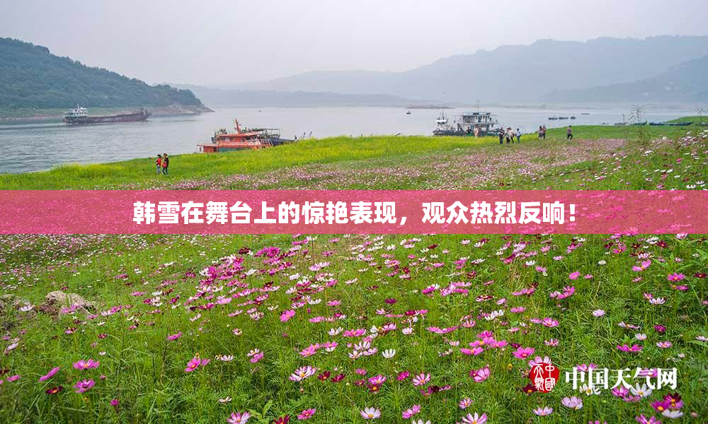 韩雪在舞台上的惊艳表现，观众热烈反响！