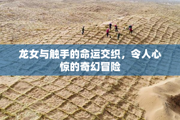 龙女与触手的命运交织，令人心惊的奇幻冒险