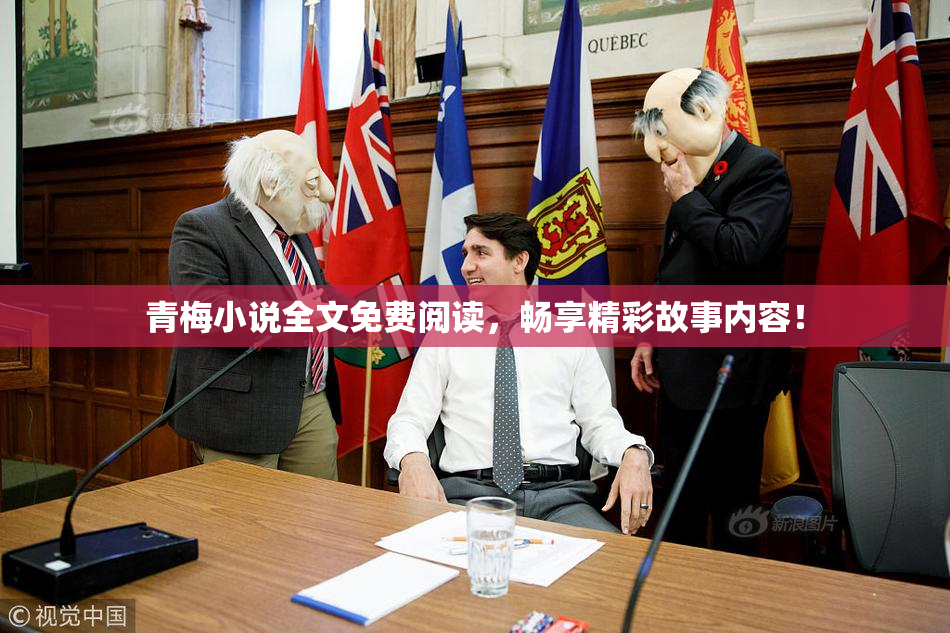 青梅小说全文免费阅读，畅享精彩故事内容！