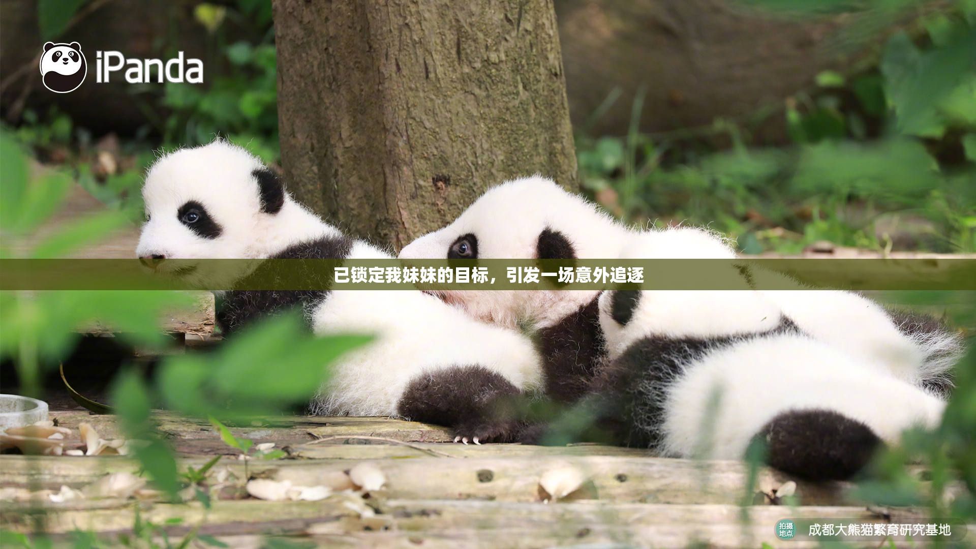已锁定我妹妹的目标，引发一场意外追逐