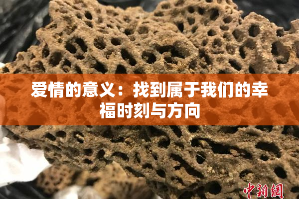 爱情的意义：找到属于我们的幸福时刻与方向