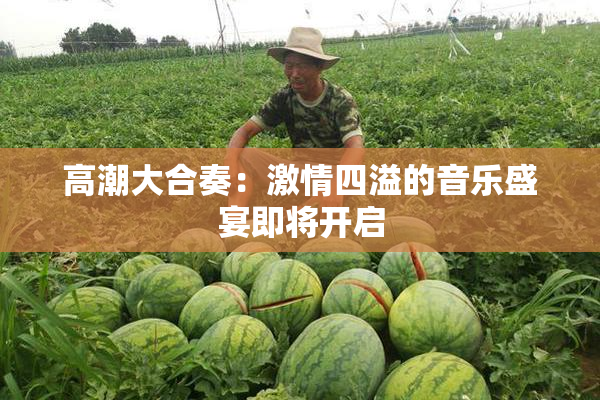 高潮大合奏：激情四溢的音乐盛宴即将开启
