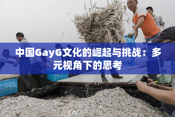 中国GayG文化的崛起与挑战：多元视角下的思考