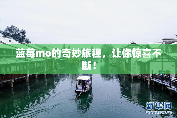 蓝莓mo的奇妙旅程，让你惊喜不断！