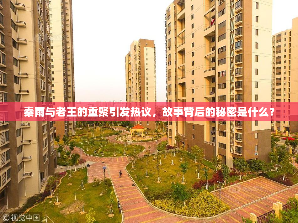 秦雨与老王的重聚引发热议，故事背后的秘密是什么？