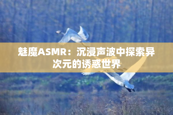 魅魔ASMR：沉浸声波中探索异次元的诱惑世界