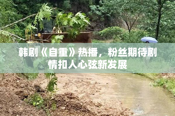 韩剧《自重》热播，粉丝期待剧情扣人心弦新发展