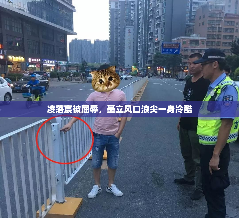 凌落宸被屈辱，矗立风口浪尖一身冷酷