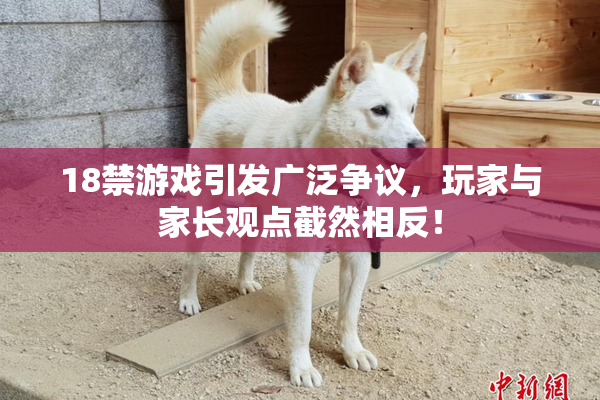 18禁游戏引发广泛争议，玩家与家长观点截然相反！