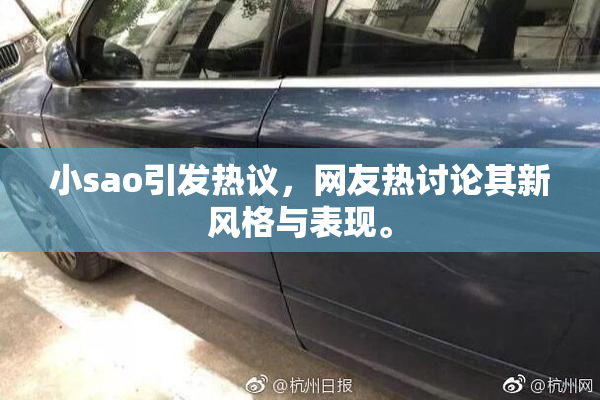 小sao引发热议，网友热讨论其新风格与表现。