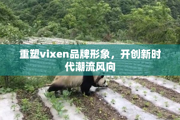 重塑vixen品牌形象，开创新时代潮流风向