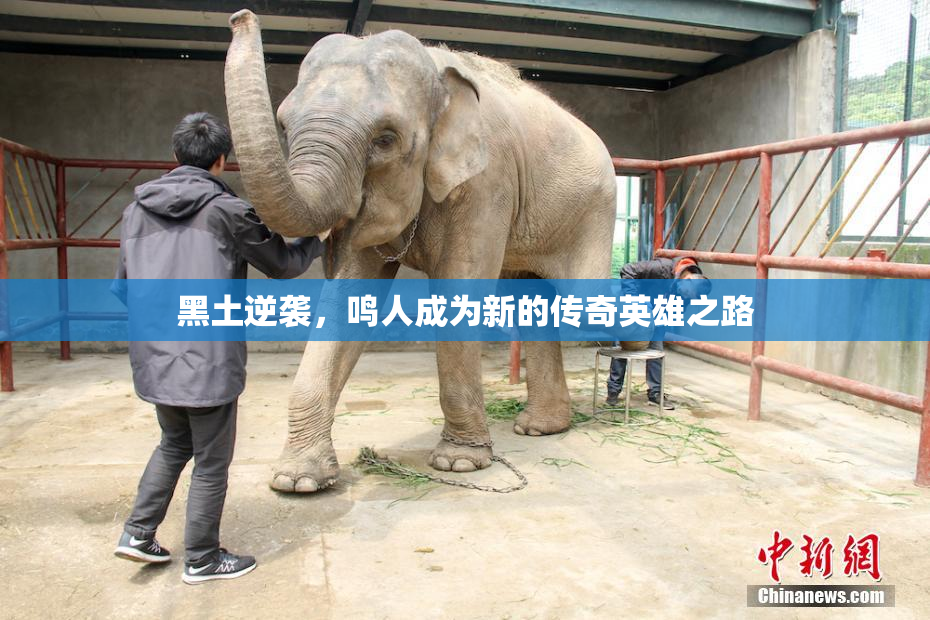 黑土逆袭，鸣人成为新的传奇英雄之路
