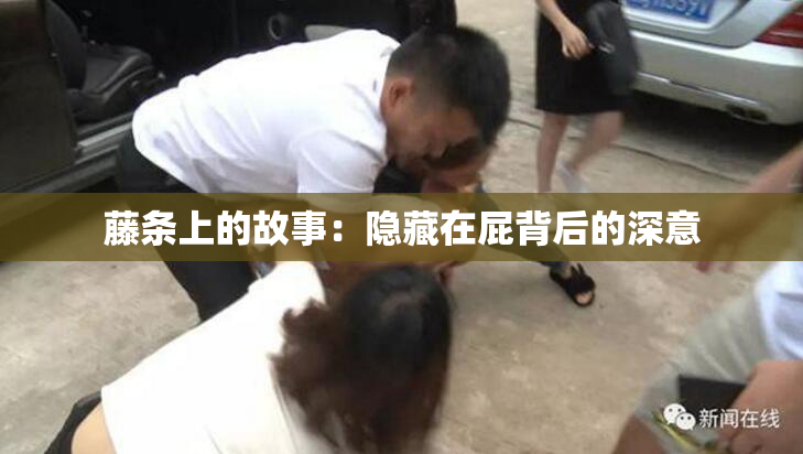 藤条上的故事：隐藏在屁背后的深意