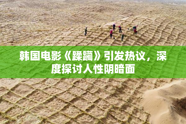 韩国电影《蹂躏》引发热议，深度探讨人性阴暗面