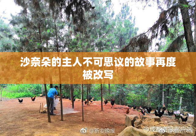 沙奈朵的主人不可思议的故事再度被改写