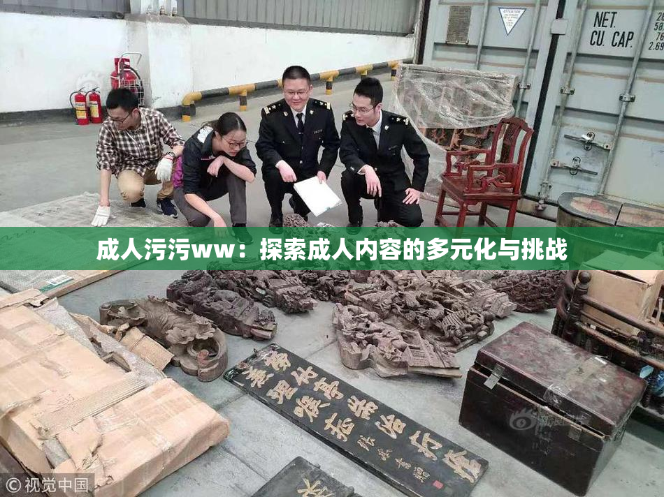 成人污污ww：探索成人内容的多元化与挑战