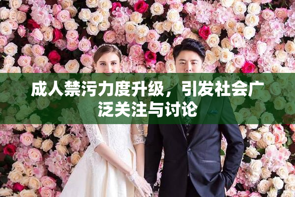 成人禁污力度升级，引发社会广泛关注与讨论