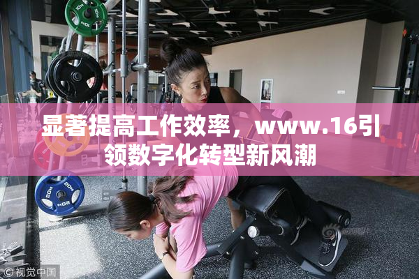 显著提高工作效率，www.16引领数字化转型新风潮