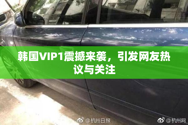 韩国VIP1震撼来袭，引发网友热议与关注