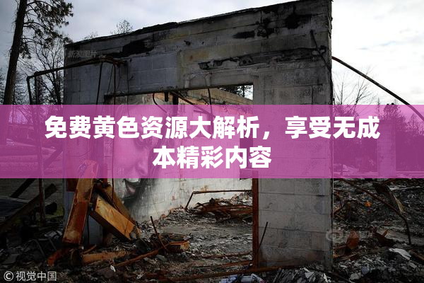 免费黄色资源大解析，享受无成本精彩内容