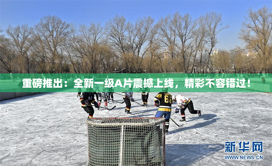 重磅推出：全新一级A片震撼上线，精彩不容错过！