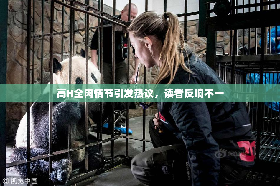 高H全肉情节引发热议，读者反响不一