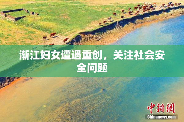渐江妇女遭遇重创，关注社会安全问题