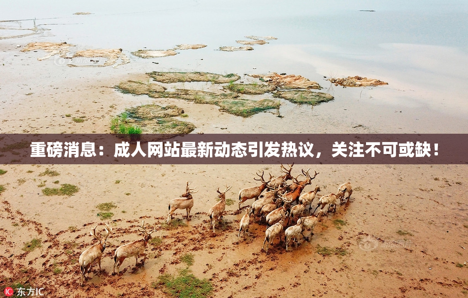 重磅消息：成人网站最新动态引发热议，关注不可或缺！