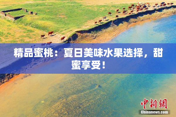 精品蜜桃：夏日美味水果选择，甜蜜享受！