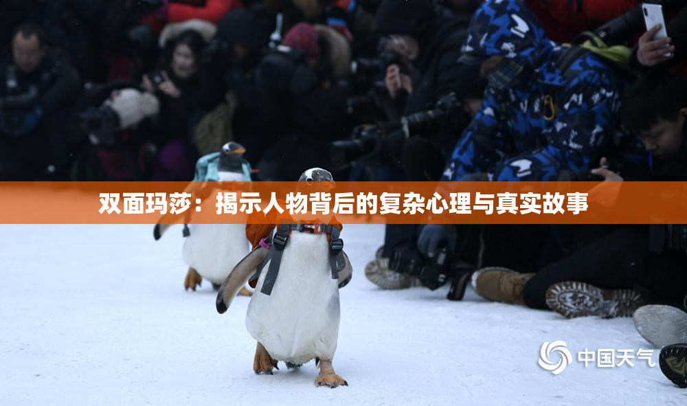 双面玛莎：揭示人物背后的复杂心理与真实故事