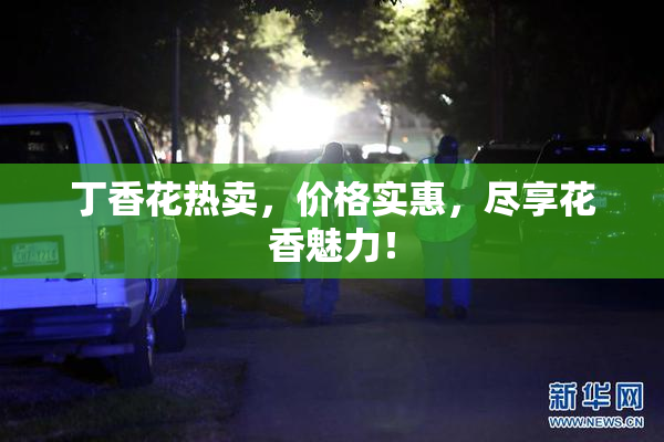 丁香花热卖，价格实惠，尽享花香魅力！