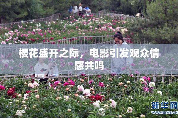 樱花盛开之际，电影引发观众情感共鸣