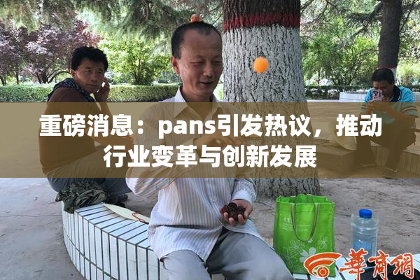 重磅消息：pans引发热议，推动行业变革与创新发展