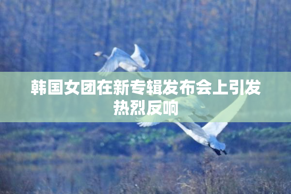 韩国女团在新专辑发布会上引发热烈反响
