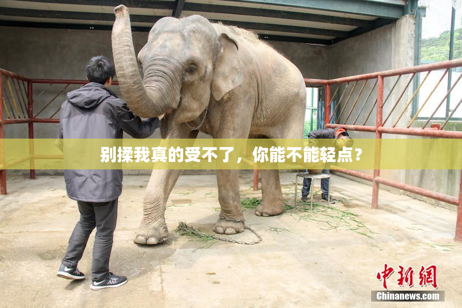 别揉我真的受不了，你能不能轻点？