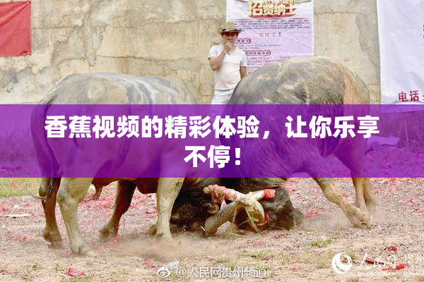 香蕉视频的精彩体验，让你乐享不停！