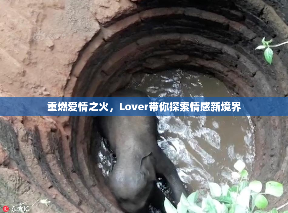 重燃爱情之火，Lover带你探索情感新境界