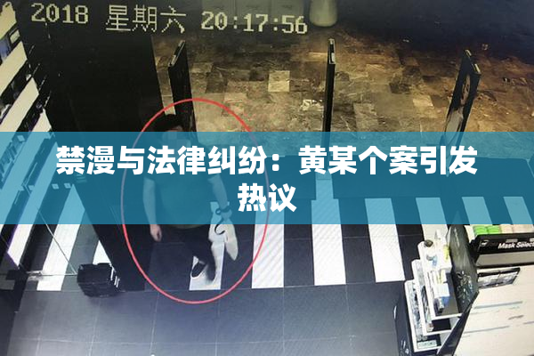 禁漫与法律纠纷：黄某个案引发热议